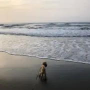 美紅∬⌒.◇⌒)の画像