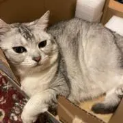 ナトルさんの画像