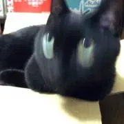 So