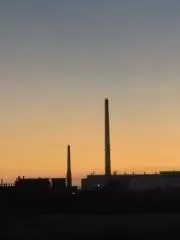 kuroの画像