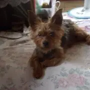 愛ちゃん