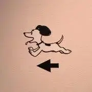 YOUの画像