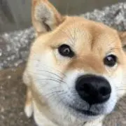 けんじ