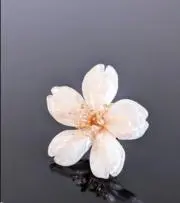 さくらの画像