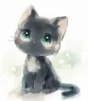 エヴリンの画像