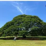 なたでここ(*´ `*)の画像