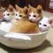 ガチャピンの画像