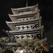 イシガメの画像