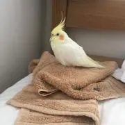 たまご