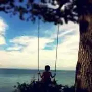 tawashiの画像