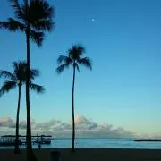 summerの画像