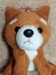 オコノミヤの画像