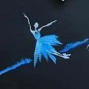 Sariの画像