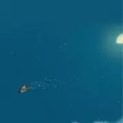 ほーみ【プロフィール必読】の画像