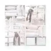 ふわりの画像