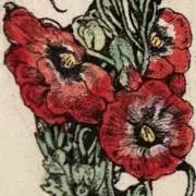 anemoneの画像