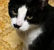 アセンブラーの画像