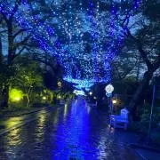 Mの画像