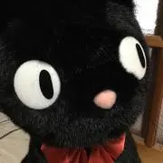 Jiji