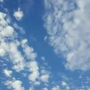 かい