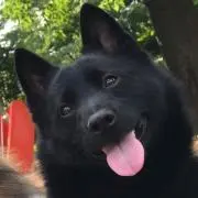 【左打者用／美品】BATTING Drill MAT Amazing公式購入 20_900x.png?v=1749172604