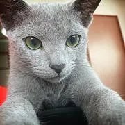 k.y.b.hの画像