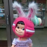 きょんちゃんの画像