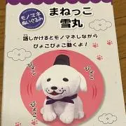 ホワイト☆の画像