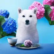 最終値下げ元楽天イーグルス 茂木 実使用キャップ 直筆サイン入り