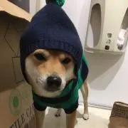 takの画像