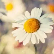 ゆうゆう