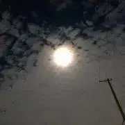 むの画像