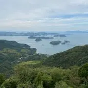 ぴっぴの画像
