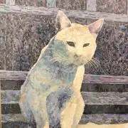 アイアイの画像