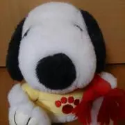 ヒロ