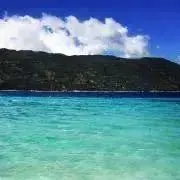 むぅ＊プロフ必読ʕ•ᴥ•ʔの画像