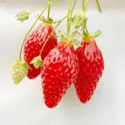 もん
