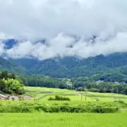 himawarisunsun85の画像