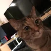 みえぽ