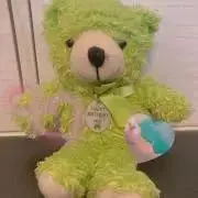 ミルティの画像