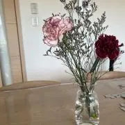 えみの画像