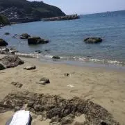 小学5年生です