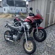 ZF2の画像