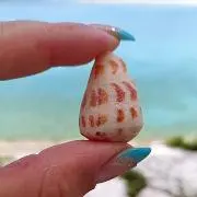 ☆chisato☆の画像