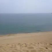 ぽこの画像