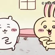 うさの画像