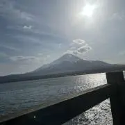 トミーの画像