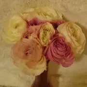 次回発送6/7〜muranekoの画像