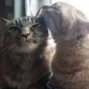 takuradaの画像