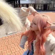 aの画像